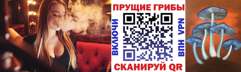 Псилоцибиновые грибы Psilocybine cubensis Коммунар