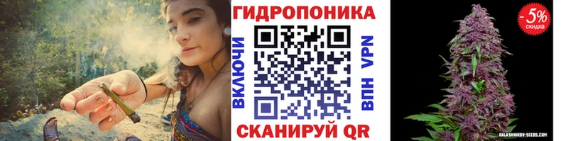 Конопля планчик Коммунар